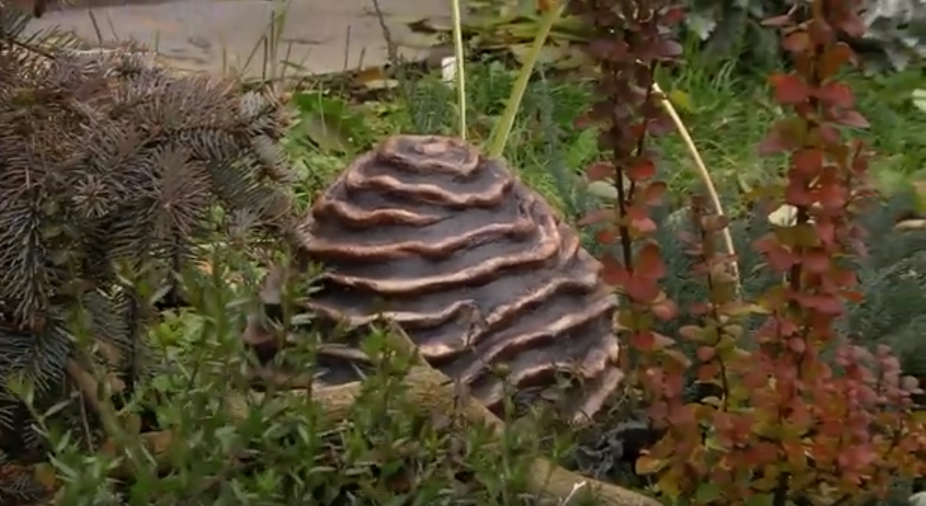 Купольный дом и арт-бетон. Удачные заметки