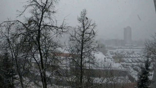 Столицу вновь заметает... Москва - 02.02.2024 г. - 9 часов утра. смотреть онлайн