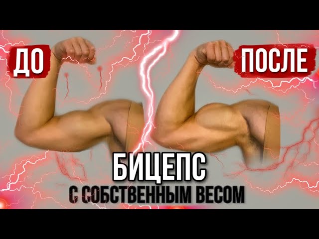 Как накачать бицепс собственным весом? 2 упражнения на бицепс смотреть онлайн