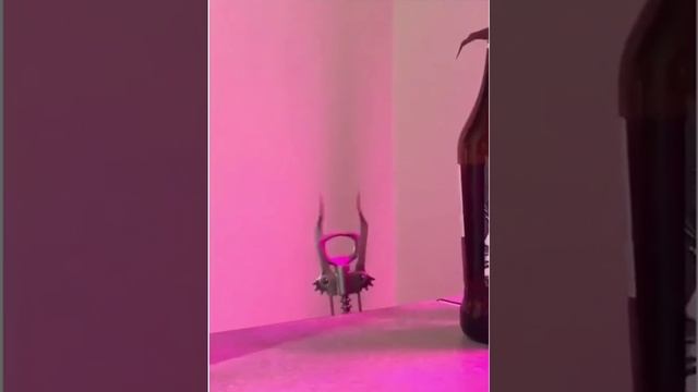 Весёлый штопор смотреть онлайн