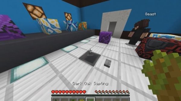 DIVERSITY 3 #5 - ГОЛОВОЛОМКИ! [Minecraft Maps]