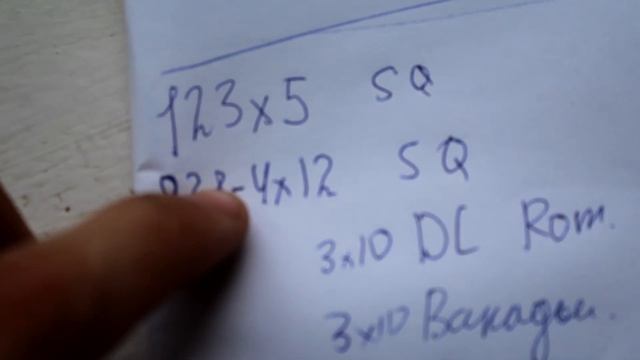 Лучшая Программа для МАССЫ ? /David Laid DUP | Обзор программы /ДЕНЬ 1