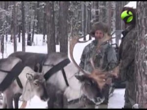 С полем! "Зимняя охота у селькупов" Часть 1 (#С_полем)