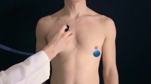 Аускультация сердца за 1 минуту   Точки аускультации сердца