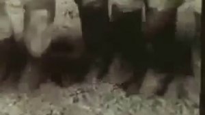 Свиридов - "Время, вперёд!"