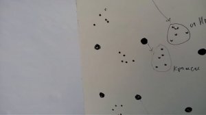 Сайга МК 03 223 # проверка кучности и влияние ДТК