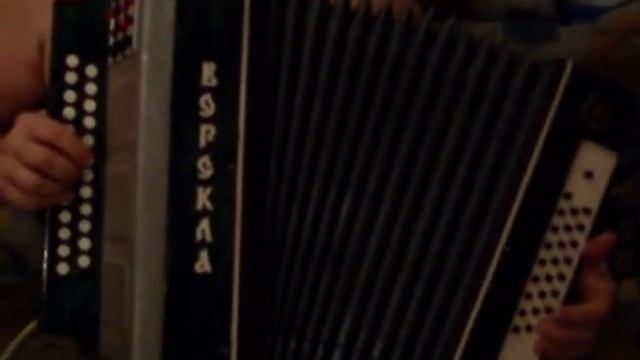 Гармонь "ВОРСКЛА" электронная смотреть онлайн