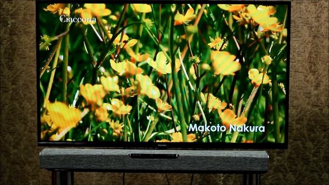 Саундбар Jamo SB 36 достойный звук.