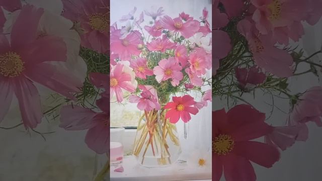Быстрый ответ Иисуса. СВИДЕТЕЛЬСТВО. смотреть онлайн