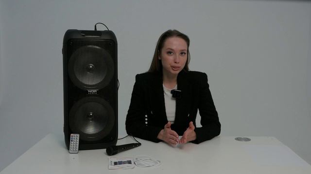 NOIR-audio MAX-100 акустическая система 100 Ватт со светомузыкой и микрофоном. Обзор смотреть онлайн