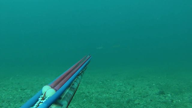 Ход кефали на побережье Крыма смотреть онлайн