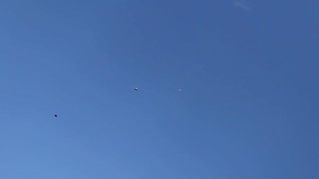 11 .07 Разминка очередная ..!!! смотреть онлайн