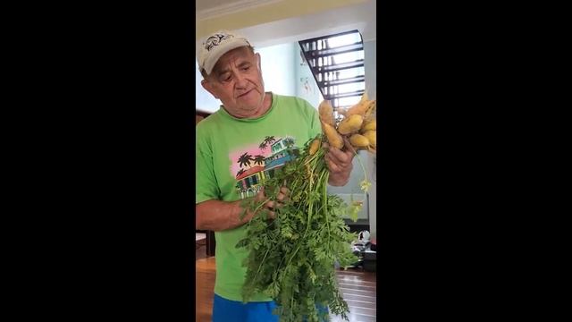 Мастер рекомендует - настоящий узбекский плов из желтой морковки! смотреть онлайн