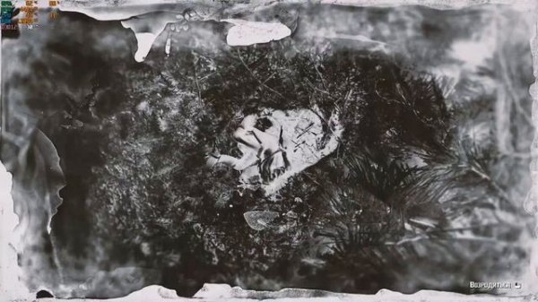 Cheating in RDR 2 online I читеры в RDR 2 онлайн