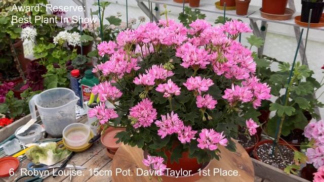 The Pelargonium & Geranium Society Virtual Show June 2021