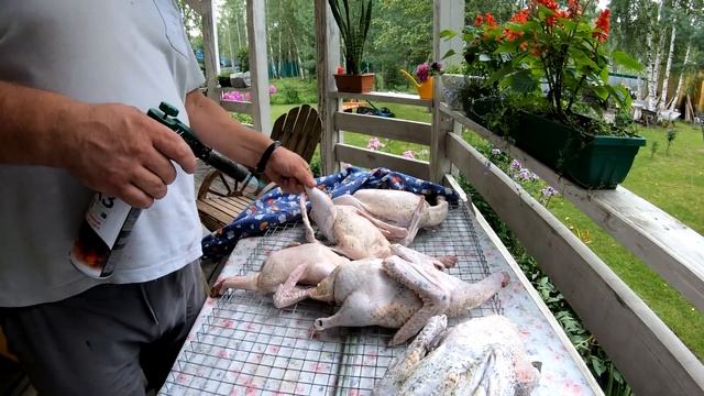 как ощипать  уток от [А до Я]