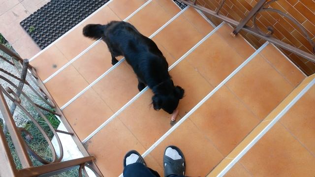 Сосиски смотреть онлайн