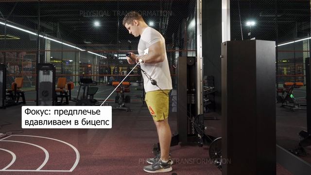 Сгибания на бицепс в узком кроссов смотреть онлайн