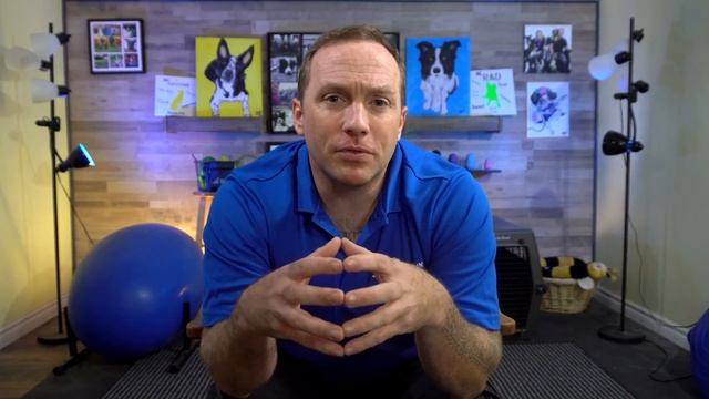 5 Reasons Your Leash Walking Training Isn’t Working смотреть онлайн