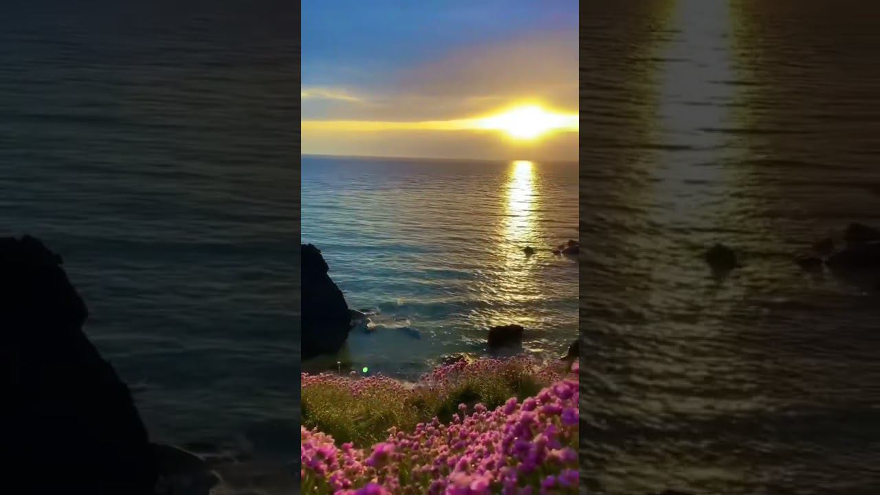 respect 2108242001 #asmr #sunset #nature смотреть онлайн