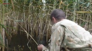 как нужно делать окно в камышах