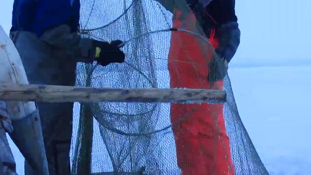 рыбалка.белое море. смотреть онлайн