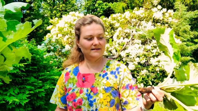 Революция в уходе за волосами