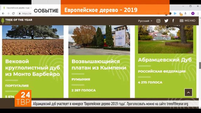 Абрамцевский дуб – пока четвёртый в голосовании за «Европейское дерево года» смотреть онлайн