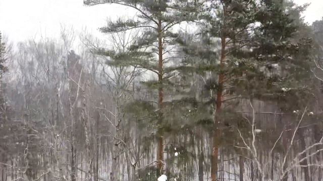 Метель на даче (1080p) смотреть онлайн