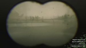 Как Добывать ПРЕВОСХОДНЫЕ Шкурки RDR 2 Охота