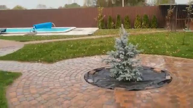 Зимняя консервация бесплатно для своих клиентов