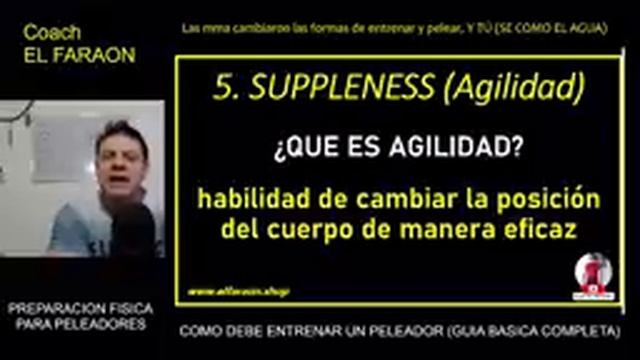 ¿COMO ENTRENAN LOS PELEADORES PROFESIONALES DE ARTES MARCIALES MIXTAS? (Guía básica completa) MMA смотреть онлайн