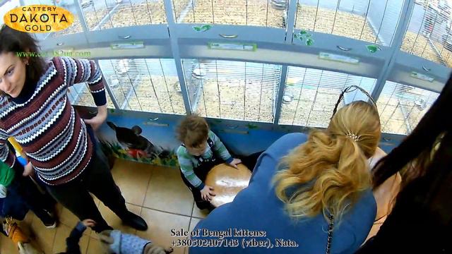 Тусовка, Мопсов, Харьков 13012018, ZOOLAND, зимняя сказка, PUGS and HUGS, мопсовстреча, часть 11 смотреть онлайн