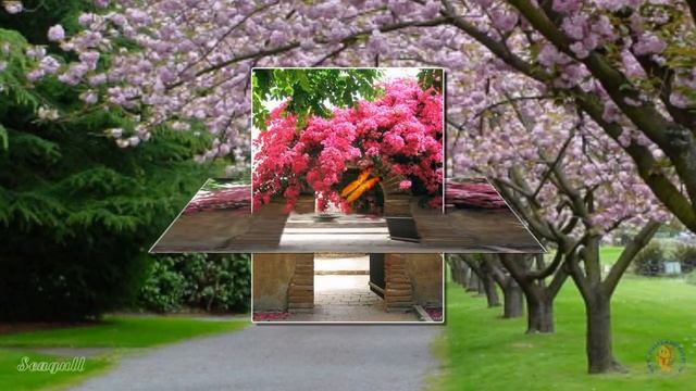 ProShow Producer Прохождение одного фото через другое