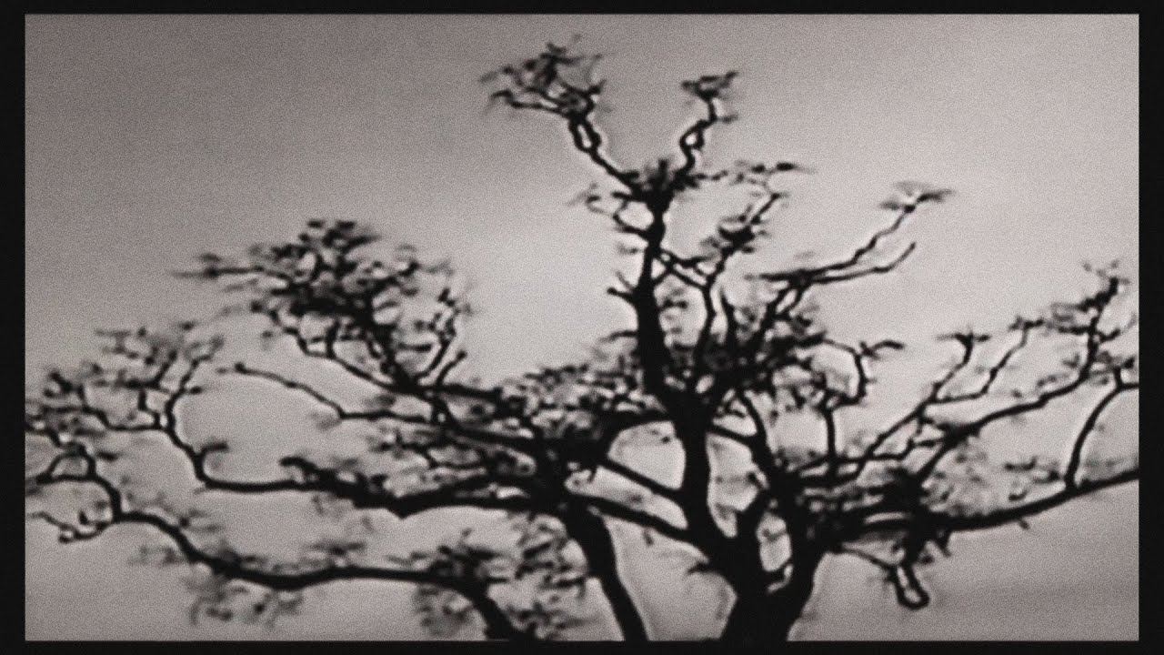 [FREE] $uicideboy$ TYPE BEAT - "TRICKERY" | Dark Trap/Phonk Beat смотреть онлайн