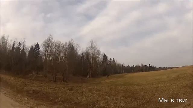 Лось на дороге! / Moose on the road (Охота 2013/Hunting 2013) смотреть онлайн