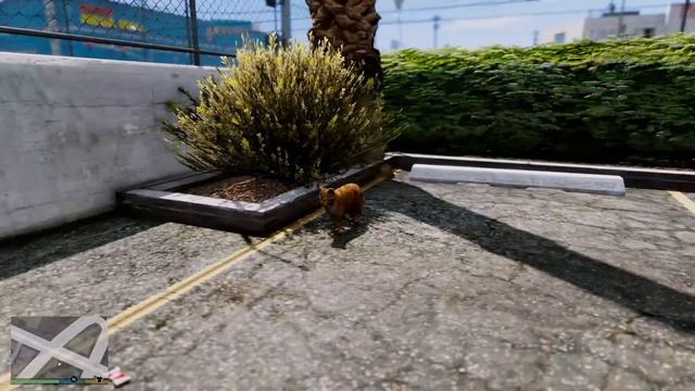 ЖИЗНЬ ЖИВОТНЫХ В ГТА 5 МОДЫ! ХОЗЯИН ХОЧЕТ СДЕЛАТЬ ИЗ КОТА СУП! ОБЗОР МОДА В GTA 5 MODS ВИДЕО ИГРЫ