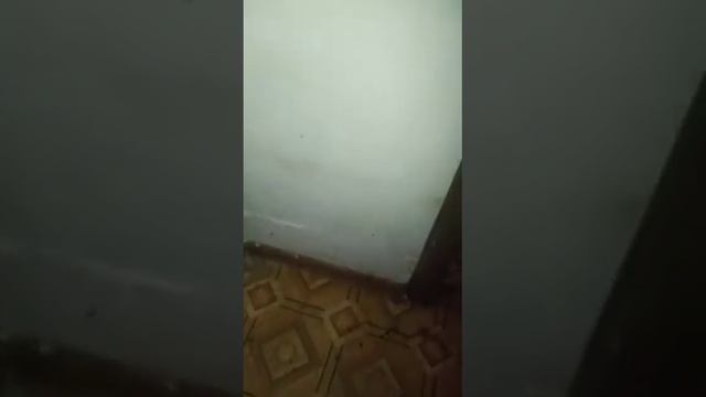 0031e1b3 41b7 46a8 bd26 751b2ae53ac2 1 смотреть онлайн