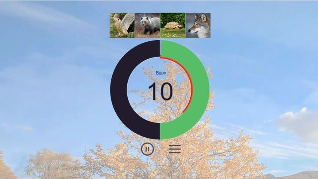 Дыхание Черепахи - тренажер дыхания