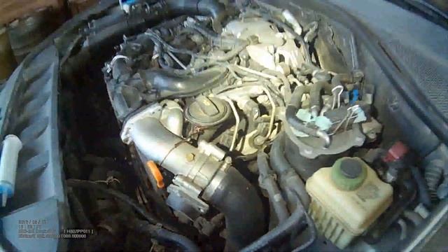 Видеоотчёт: замена антифриза на Audi Q7 3.0 TDI BUG смотреть онлайн