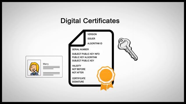 What is Public Key Infrastructure (PKI) by Securemetric смотреть онлайн