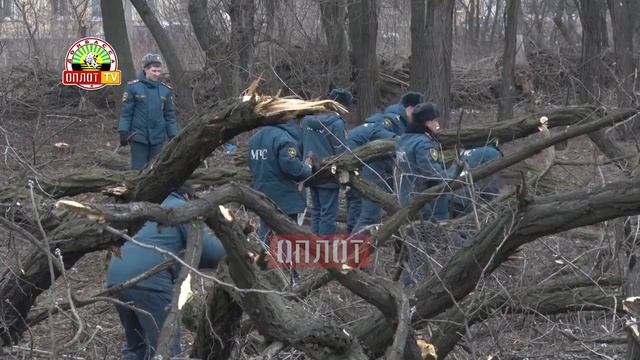• г.Макеевка. Всеобщий субботник смотреть онлайн
