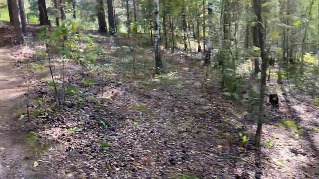 Затопил баню в лесу!!!! смотреть онлайн