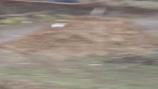 Кушугумский приют "Добрые ручки" Нужен хозяин. смотреть онлайн