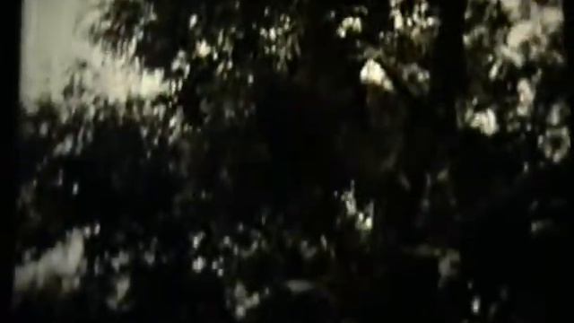 Валентин Хахиль. р.Тобол. 1979г.г.Рудный. смотреть онлайн