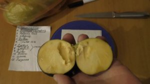 Азимина  ,3 новых сорта,обзор. 22