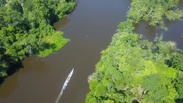Amazonie Vue du Ciel en Musique смотреть онлайн