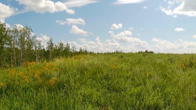 Омская область.Городище бронзового века.Лежанка. смотреть онлайн