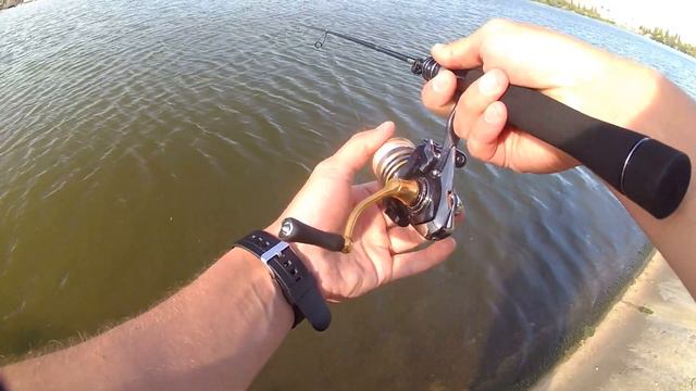 СПИННИНГ ДЛЯ МИКРОДЖИГА И МОРМЫШИНГА. СРАВНЕНИЕ ELVES 602 UL 0,5 - 4 г. ИЛИ SEEKBASS 0,8 - 5 г.??? смотреть онлайн