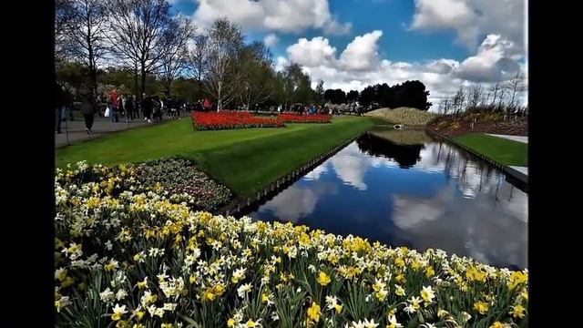 ПАРК ТЮЛЬПАНОВ КЁКЕНХОФ В ГОЛЛАНДИИ смотреть онлайн